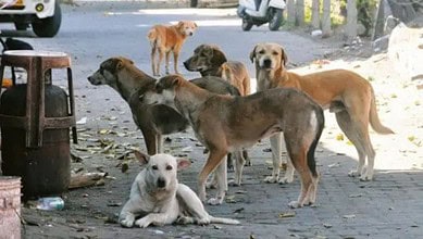 Representational image