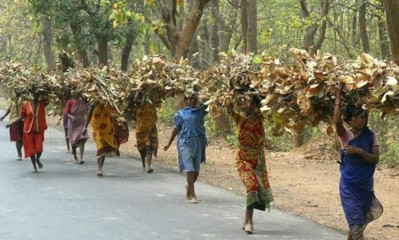 Panel urges govt to act on atrocities against Dalits, Adivasis in Telangana