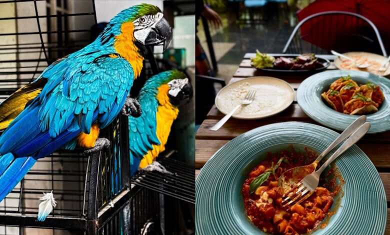 Mairu Bistro Hyderabad