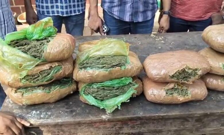 10.16 kg ganja seized in Hyderabad; three arrested, six booked