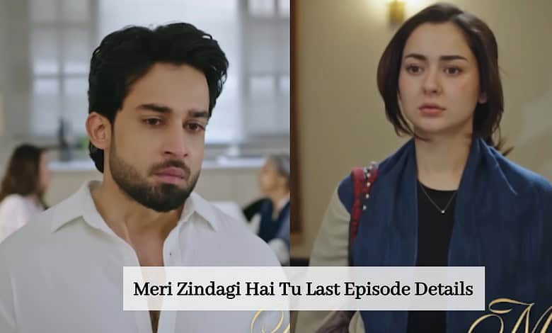 Meri Zindagi Hai Tu last episode