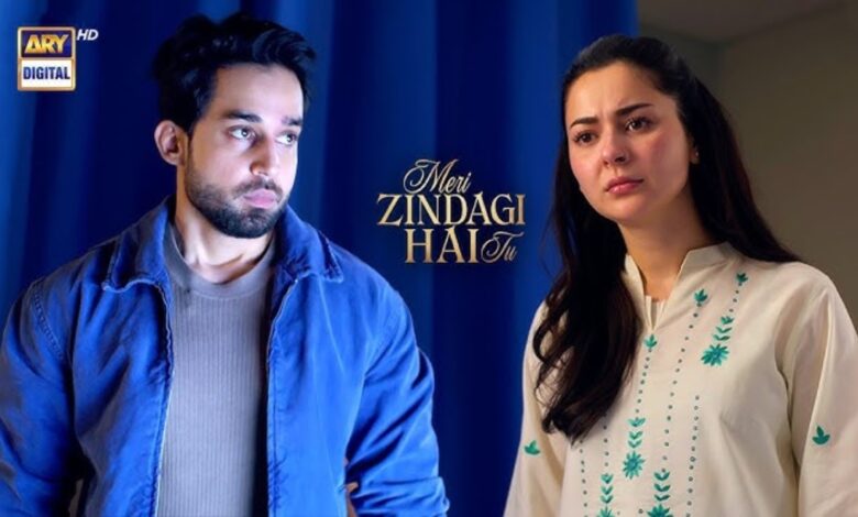 Meri Zindagi Hai Tu stars Bilal Abbas Khan and Hania Aamir