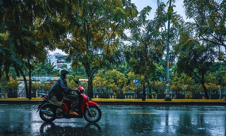 A motorcyclist riding on a wet road in Hyderabad amidst moderate rain, with trees and cityscape in the background.
