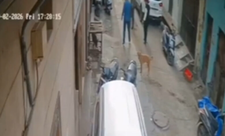 Caged Pig placed outside Muslim houses