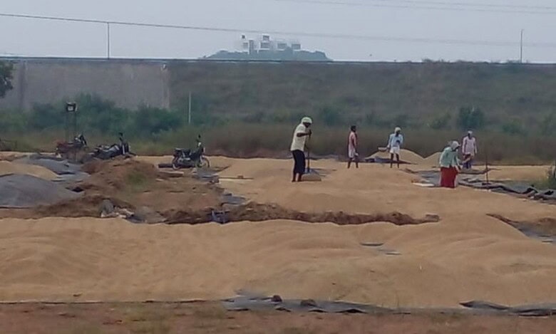 Telangana Civil Supplies Department procures 30 lakh tonne paddy from farmers for Rabi marketing season till Wednesday, May 13, 2026.
