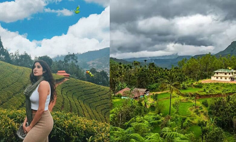 A woman enjoying the lush green hills of a South Indian hill station, surrounded by tea plantations and s.