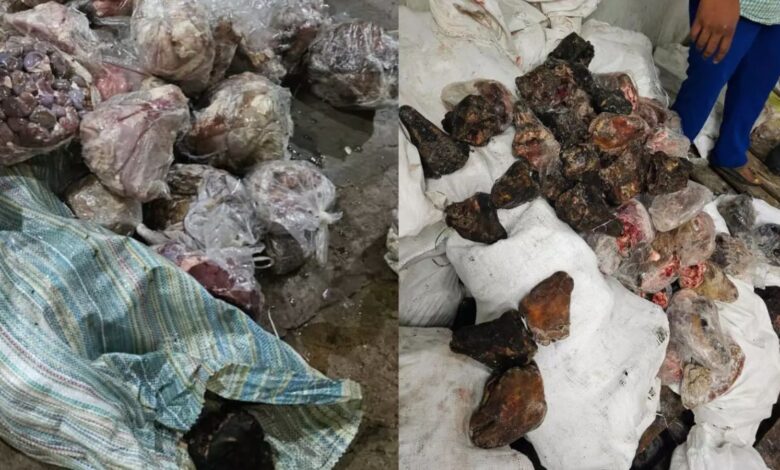 Image shows rotten meat in bags