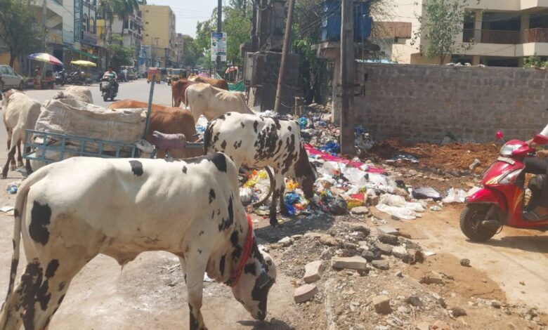 Huge garbage pile up raises health concerns in Hyderabad’s Santoshnagar