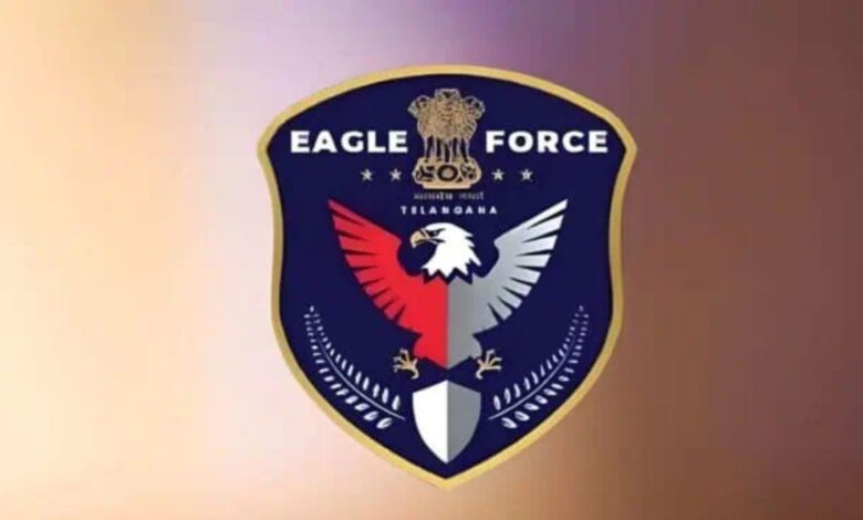 EAGLE logo