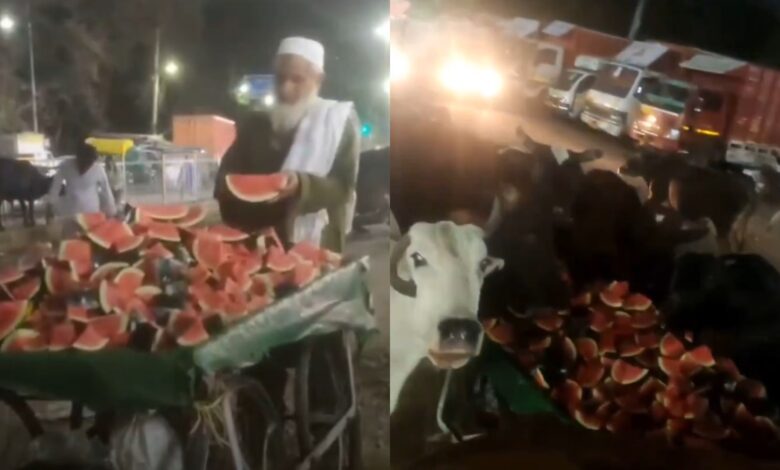 Muslim fruit vendor feeds watermelons to street cows in heartwarming video