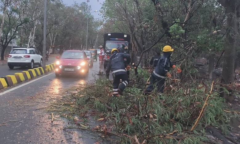 Uprooted tree and traffic congestion in Hyderabad caused by heavy rains.