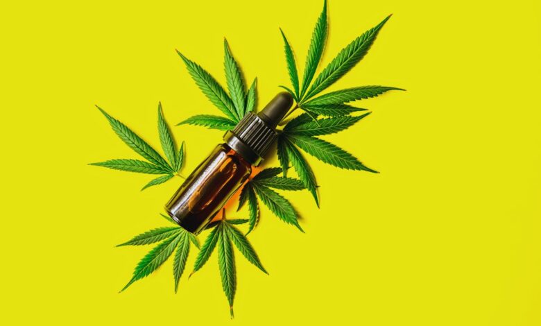 Image shows A amber glass dropper bottle of CBD oil resting on cannabis leaves against a bright yellow background.