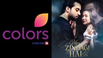 Bilal Abbas Khan and Hania Aamir-starrer Meri Zindagi Hai Tu ended in March last week