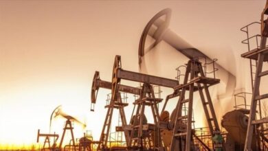 Oil pumpjacks operating at sunset, symbolising crude production and energy supply.