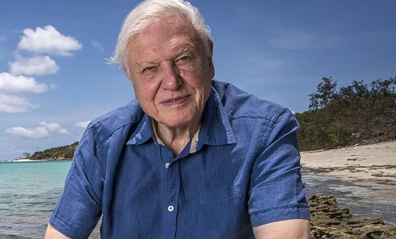 Celebrating David Attenborough's 100th birthday amidst nature's beauty by the seaside.