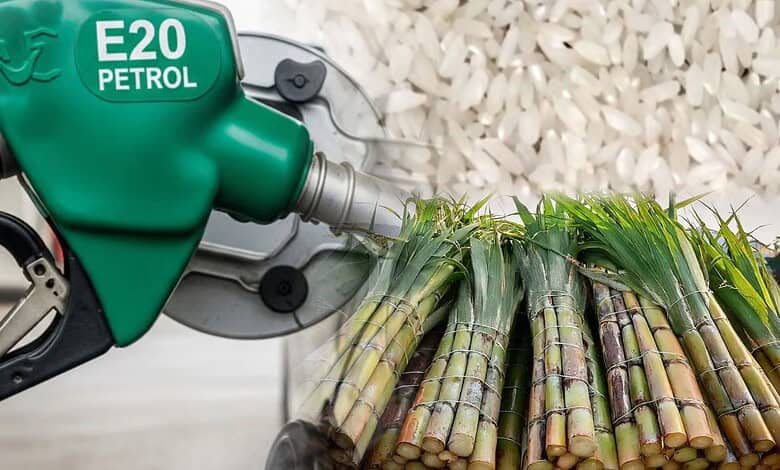 Ethanol fuel pump with sugarcane, illustrating water consumption in ethanol production.