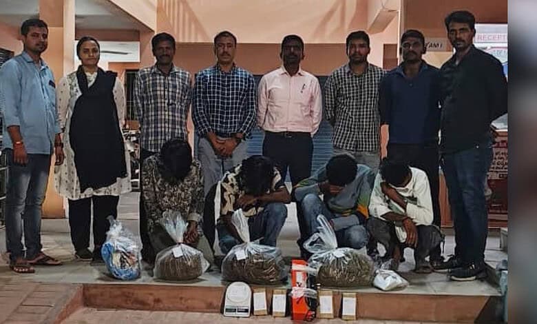 Police display seized ganja and arrests in Hyderabad drug bust operation.