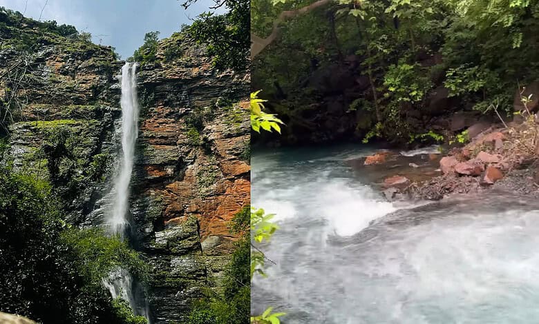 A lush waterfall cascading into a rocky pool surrounded by dense greenery in a hidden natural location.