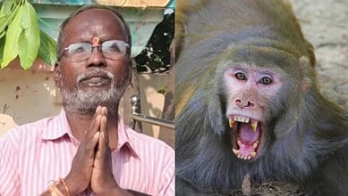 Bhupalapally resident dies while escaping monkey attack on Thursday evening, April 30, 2026.
