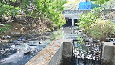 Urban drainage system with water flow near trees and greenery in a natural setting.