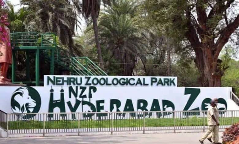 Nehru Zoo Park