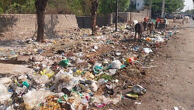 Overflowing garbage and litter scattered along a street with trees and a wall in the background.