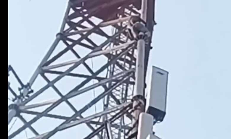 High-voltage transmission tower with electrical insulators and communication equipment against a clear sk.