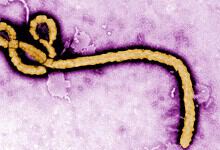 Illustration of a virus particle with a purple background, representing microbiology or infectious diseas.