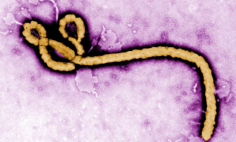 Illustration of a virus particle with a purple background, representing microbiology or infectious diseas.