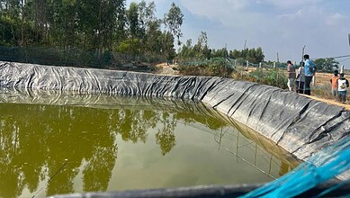 Pollution in a pond with murky water, plastic lining, and onlookers, highlighting environmental concerns.