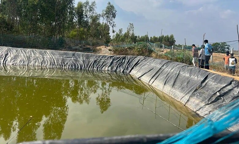 Pollution in a pond with murky water, plastic lining, and onlookers, highlighting environmental concerns.