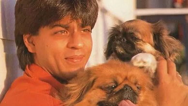 Shah Rukh Khan with his pet dogs