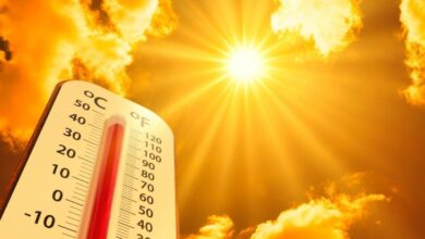 Gear up for intense summer heatwaves as IMD Hyderabad issues red alert